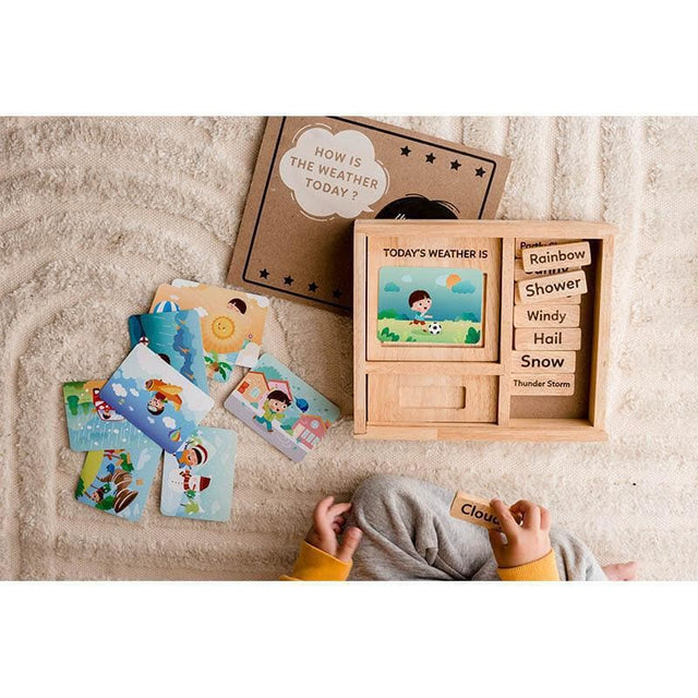 Weather Play Set