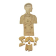 Wooden Anatomy Puzzle