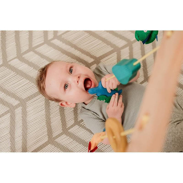 Wooden Baby Gym