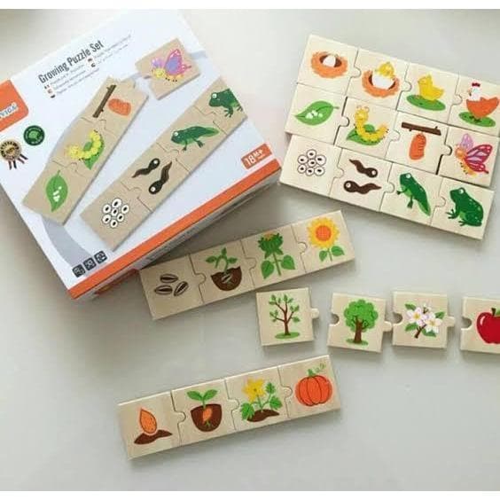 Wooden Life Cycle Puzzle-Educational Play-My Happy Helpers