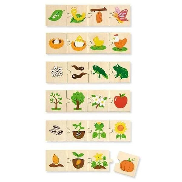 Wooden Life Cycle Puzzle