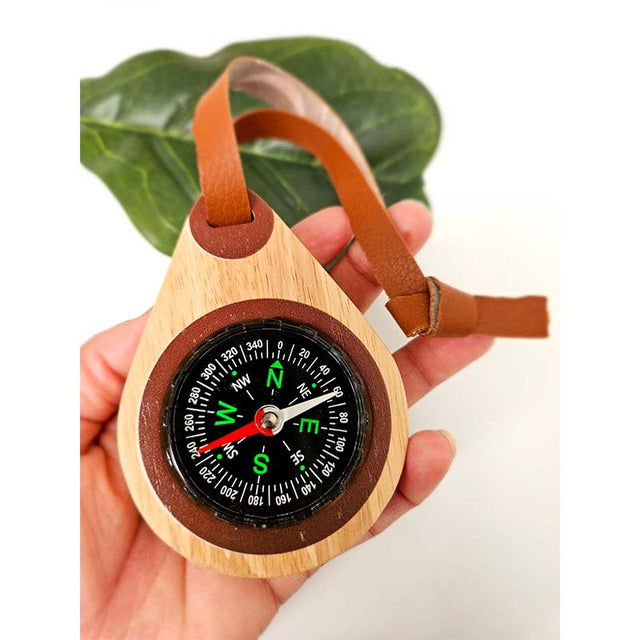 Wooden compass