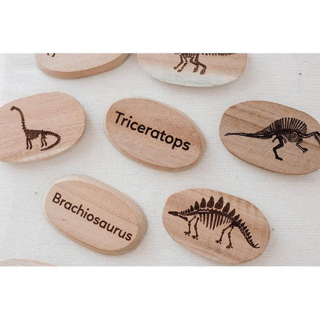 Dinosaur Stones Set of 10