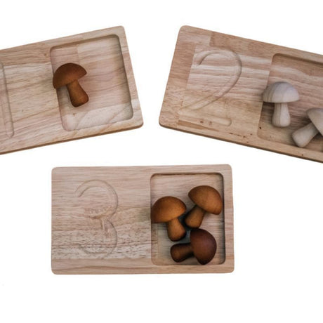 Jumbo Wooden Counting Trays