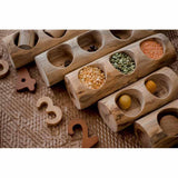 Log Counting and Sorting Trays set of 5