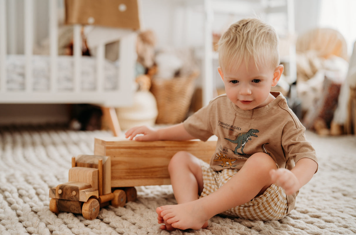 Kids Wooden Cargo Truck QToys