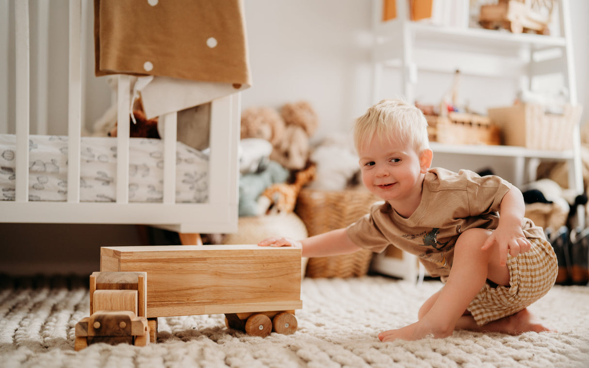Kids Wooden Cargo Truck QToys