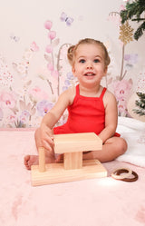 Wooden Montessori Rings Activity