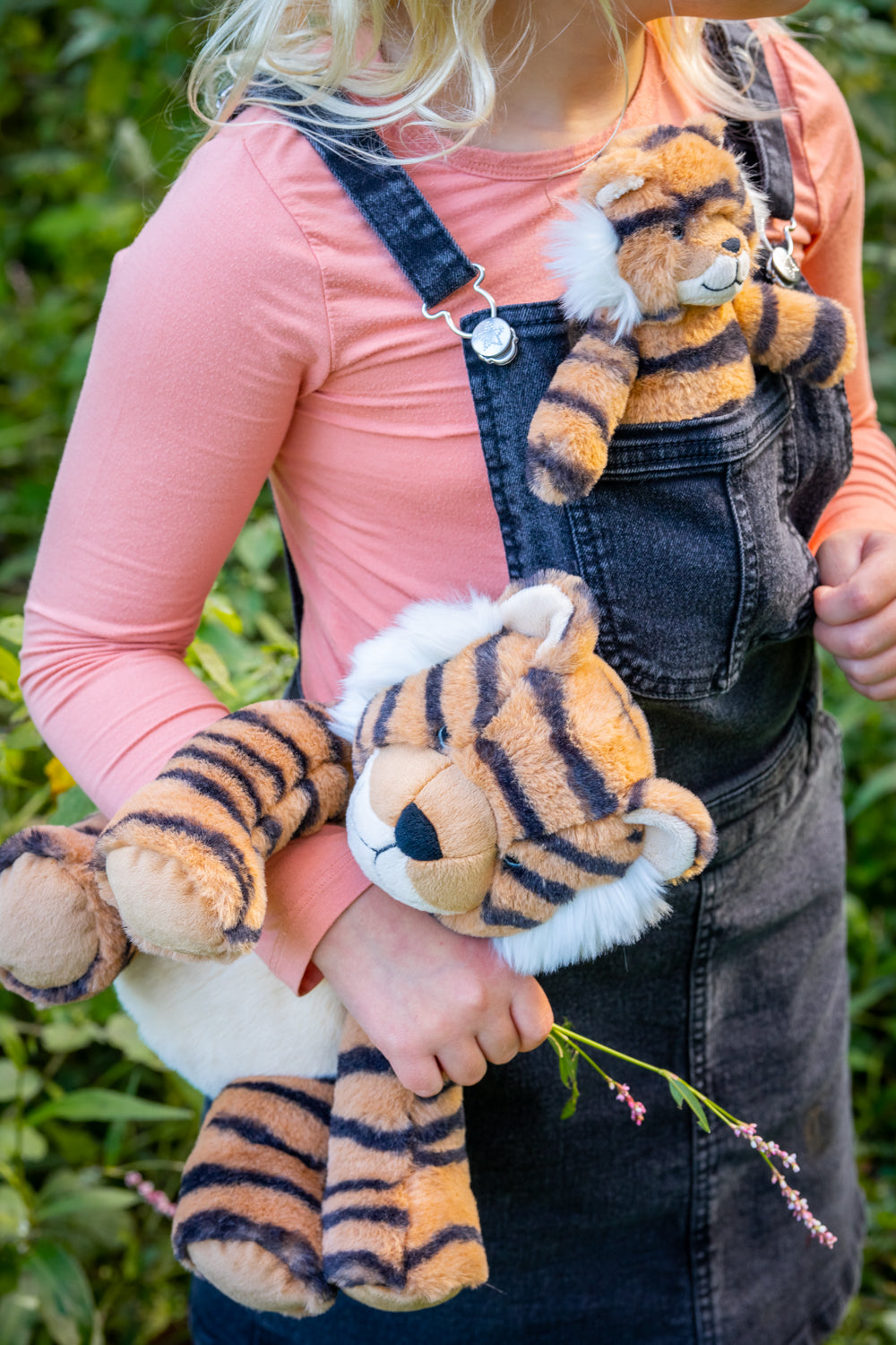 Tesh the Tiger