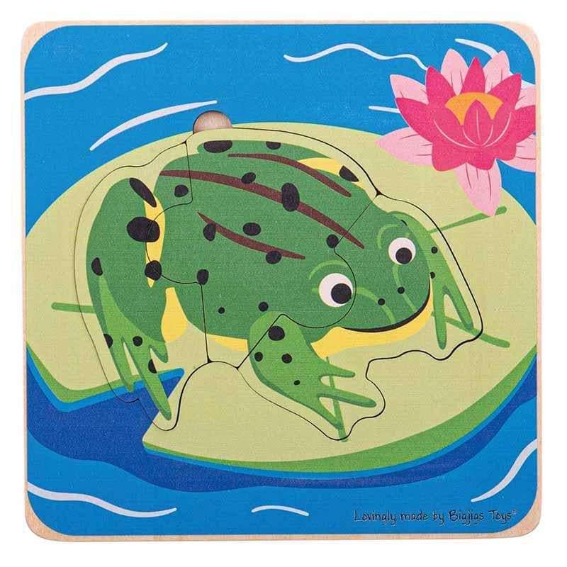 Lifecycle Layer Puzzle - Frog